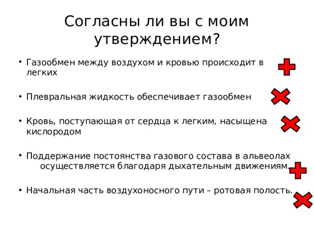 Согласны ли вы с моим утверждением? Газообмен между воздухом и кровью происходит в легких Плевральная жидкость обеспечивает газообмен Кровь, поступающая от сердца к легким, насыщена кислородом Поддержание постоянства газового состава в альвеолах осуществляется благодаря дыхательным движениям. Начальная часть воздухоносного пути – ротовая полость. 