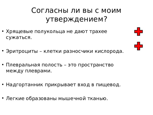 Согласны ли вы с моим утверждением? Хрящевые полукольца не дают трахее сужаться. Эритроциты – клетки разносчики кислорода. Плевральная полость – это пространство между плеврами. Надгортанник прикрывает вход в пищевод. Легкие образованы мышечной тканью. 