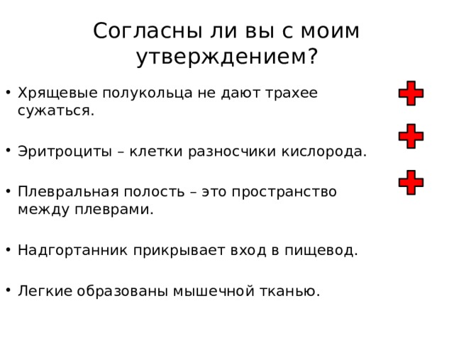 Согласны ли вы с моим утверждением? Хрящевые полукольца не дают трахее сужаться. Эритроциты – клетки разносчики кислорода. Плевральная полость – это пространство между плеврами. Надгортанник прикрывает вход в пищевод. Легкие образованы мышечной тканью. 