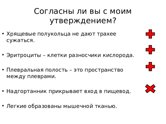 Согласны ли вы с моим утверждением? Хрящевые полукольца не дают трахее сужаться. Эритроциты – клетки разносчики кислорода. Плевральная полость – это пространство между плеврами. Надгортанник прикрывает вход в пищевод. Легкие образованы мышечной тканью. 