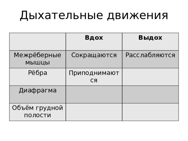 Дыхательные движения Вдох Межрёберные мышцы Выдох Сокращаются Рёбра Приподнимаются Расслабляются Диафрагма Объём грудной полости 
