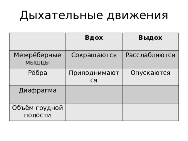 Дыхательные движения Вдох Межрёберные мышцы Выдох Сокращаются Рёбра Приподнимаются Расслабляются Диафрагма Опускаются Объём грудной полости 