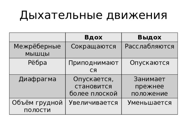 Дыхательные движения Вдох Межрёберные мышцы Выдох Сокращаются Рёбра Приподнимаются Расслабляются Диафрагма Опускаются Опускается, становится более плоской Объём грудной полости Увеличивается Занимает прежнее положение Уменьшается 