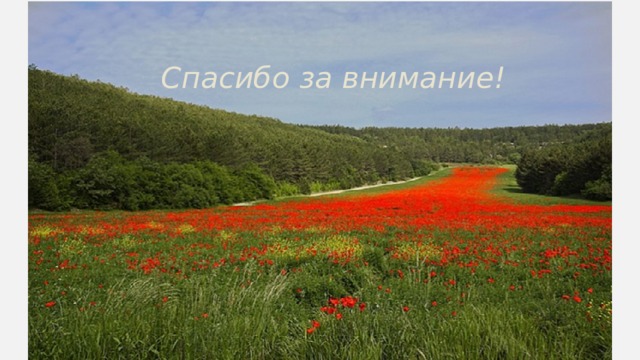 Спасибо за внимание! 