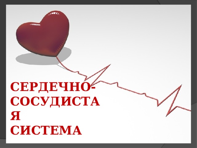 СЕРДЕЧНО-  СОСУДИСТАЯ  СИСТЕМА 