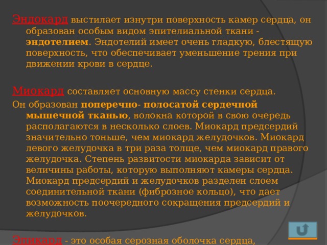 Эндокард выстилает изнутри поверхность камер сердца, он образован особым видом эпителиальной ткани - эндотелием . Эндотелий имеет очень гладкую, блестящую поверхность, что обеспечивает уменьшение трения при движении крови в сердце.  Миокард составляет основную массу стенки сердца. Он образован поперечно - полосатой сердечной мышечной тканью , волокна которой в свою очередь располагаются в несколько слоев. Миокард предсердий значительно тоньше, чем миокард желудочков. Миокард левого желудочка в три раза толще, чем миокард правого желудочка. Степень развитости миокарда зависит от величины работы, которую выполняют камеры сердца. Миокард предсердий и желудочков разделен слоем соединительной ткани (фиброзное кольцо), что дает возможность поочередного сокращения предсердий и желудочков.  Эпикард - это особая серозная оболочка сердца, образованная соединительной и эпителиальной тканью.  