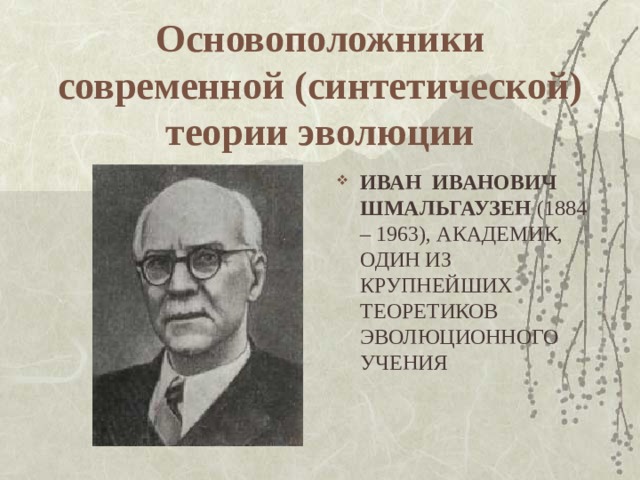Основоположники современной (синтетической) теории эволюции ИВАН ИВАНОВИЧ ШМАЛЬГАУЗЕН (1884 – 1963), АКАДЕМИК, ОДИН ИЗ КРУПНЕЙШИХ ТЕОРЕТИКОВ ЭВОЛЮЦИОННОГО УЧЕНИЯ 