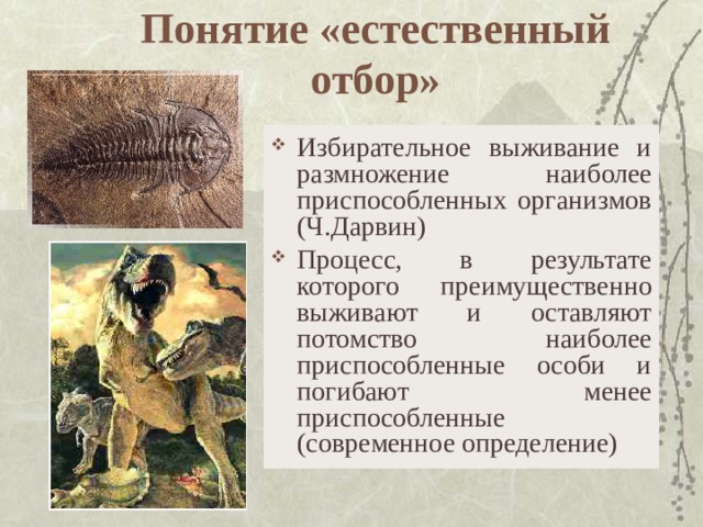 Понятие «естественный отбор»   Избирательное выживание и размножение наиболее приспособленных организмов (Ч.Дарвин) Процесс, в результате которого преимущественно выживают и оставляют потомство наиболее приспособленные особи и погибают менее приспособленные (современное определение) 