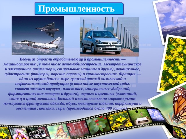 Промышленность Ведущие отрасли обрабатывающей промышленности — машиностроение , в том числе автомобилестроение, электротехническое и электронное (телевизоры, стиральные машины и другие), авиационное, судостроение (танкеры, морские паромы) и станкостроение. Франция — один из крупнейших в мире производителей химической и нефтехимической продукции (в том числе каустической соды, синтетического каучука , пластмасс, минеральных удобрений, фармацевтических товаров и другого), черных и цветных (алюминий, свинец и цинк) металлов. Большой известностью на мировом рынке пользуются французская одежда, обувь, ювелирные изделия, парфюмерия и косметика , коньяки, сыры (производится около 400 сортов). 