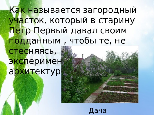 Как называется загородный участок, который в старину Петр Первый давал своим подданным , чтобы те, не стесняясь, экспериментировали в архитектуре? Дача 