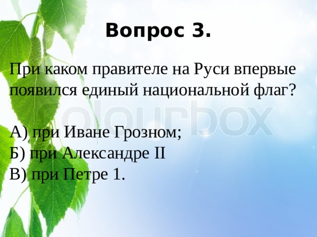 Вопрос 3.  При каком правителе на Руси впервые  появился единый национальной флаг?  А) при Иване Грозном;  Б) при Александре II  В) при Петре 1. 