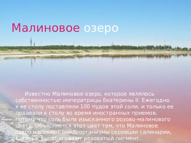Малиновое озеро Известно Малиновое озеро, которое являлось собственностью императрицы Екатерины II. Ежегодно к ее столу поставляли 100 пудов этой соли, и только ее подавали к столу во время иностранных приемов, потому что соль была изысканного розово-малинового цвета. Объясняется этот цвет тем, что Малиновое озеро населяют микроорганизмы серрации салинарии, которые вырабатывают розоватый пигмент. 