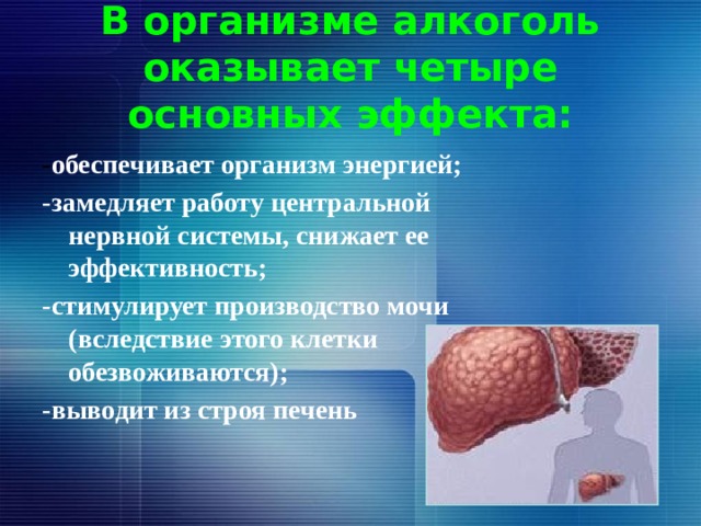 В организме алкоголь оказывает четыре основных эффекта: - обеспечивает организм энергией; -замедляет работу центральной нервной системы, снижает ее эффективность; -стимулирует производство мочи (вследствие этого клетки обезвоживаются); -выводит из строя печень 