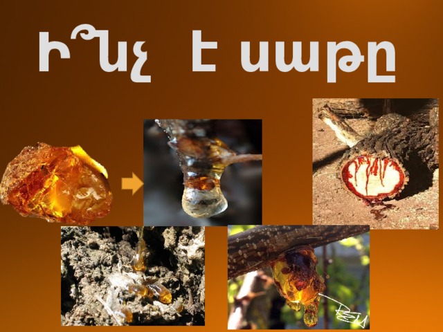 Ի՞նչ է սաթը 