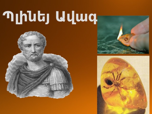 Պլինեյ Ավագ 