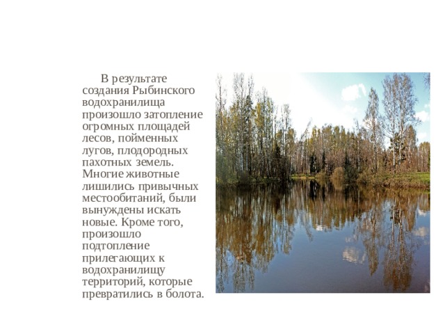   В результате создания Рыбинского водохранилища произошло затопление огромных площадей лесов, пойменных лугов, плодородных пахотных земель. Многие животные лишились привычных местообитаний, были вынуждены искать новые. Кроме того, произошло подтопление прилегающих к водохранилищу территорий, которые превратились в болота. 