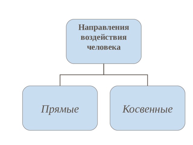 Направления  воздействия человека  Прямые Косвенные 