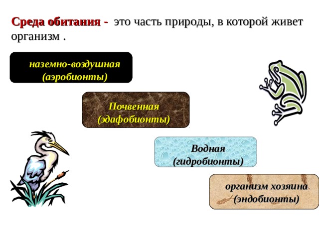 Среда обитания - это часть природы, в которой живет организм .    наземно-воздушная (аэробионты)   Почвенная (эдафобионты)  Водная (гидробионты)  организм хозяина (эндобионты)  