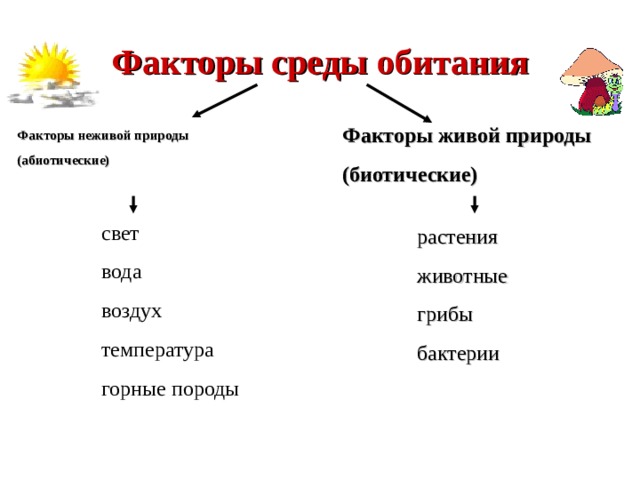 Факторы среды обитания Факторы живой природы (биотические) Факторы неживой природы (абиотические)    свет вода воздух температура горные породы растения животные грибы бактерии  