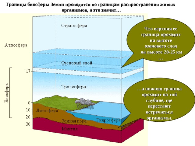 Границы биосферы Земли проводятся по границам распространения живых организмов, а это значит… Что верхняя ее граница проходит на высоте озонового слоя  на высоте 20-25 км … … а нижняя граница проходит на той глубине, где перестают встречаться организмы. 