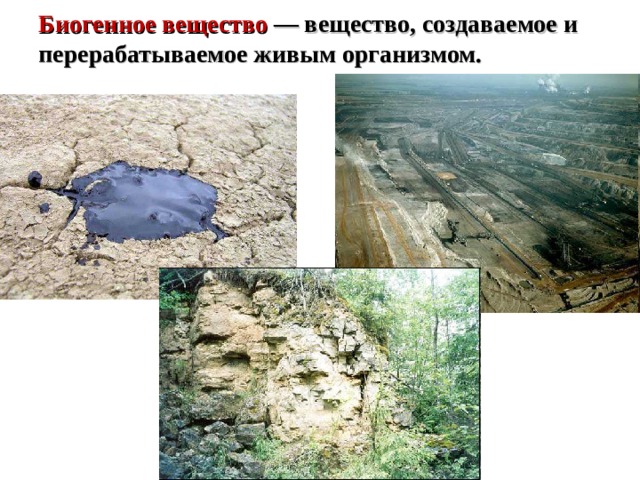 Биогенное вещество — вещество, создаваемое и перерабатываемое живым организмом.   
