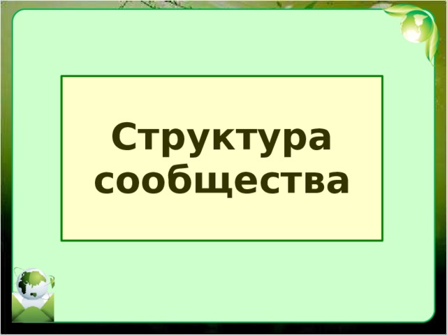 Структура  сообщества 