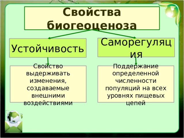 Свойства биогеоценоза Саморегуляция Устойчивость Свойство выдерживать изменения, создаваемые внешними воздействиями Поддержание определенной численности популяций на всех уровнях пищевых цепей 