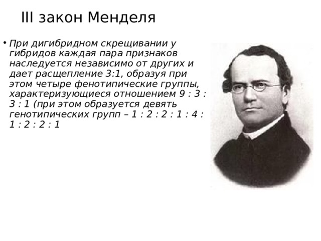 III закон Менделя При дигибридном скрещивании у гибридов каждая пара признаков наследуется независимо от других и дает расщепление 3:1, образуя при этом четыре фенотипические группы, характеризующиеся отношением 9 : 3 : 3 : 1 (при этом образуется девять генотипических групп – 1 : 2 : 2 : 1 : 4 : 1 : 2 : 2 : 1 