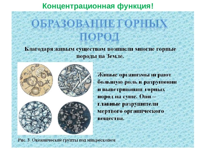 Концентрационная функция! 