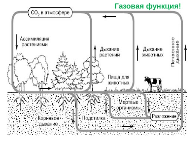 Газовая функция! 