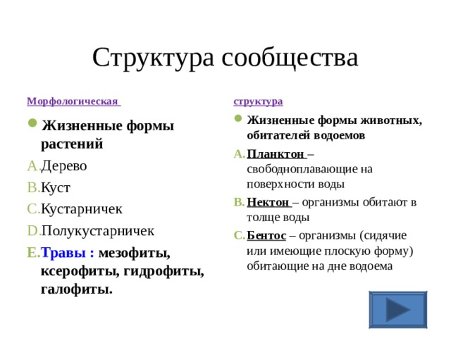 Структура сообщества Морфологическая структура Жизненные формы животных, обитателей водоемов Планктон – свободноплавающие на поверхности воды Нектон – организмы обитают в толще воды Бентос – организмы (сидячие или имеющие плоскую форму) обитающие на дне водоема Жизненные формы растений Дерево Куст Кустарничек Полукустарничек Травы :  мезофиты, ксерофиты, гидрофиты, галофиты. 