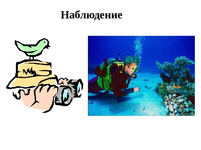 Наблюдение 