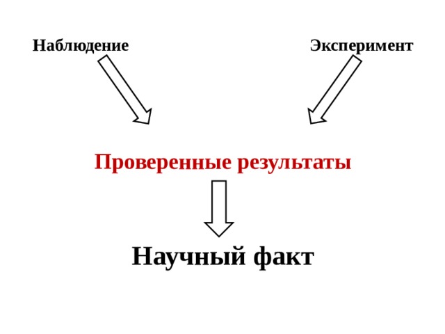 Наблюдение Эксперимент Проверенные результаты Научный факт  