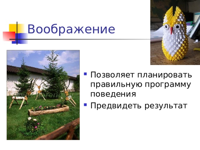 Воображение Позволяет планировать правильную программу поведения Предвидеть результат 
