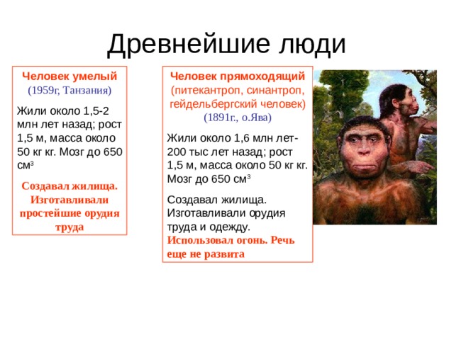 Древнейшие люди Человек умелый (1959г, Танзания) Человек прямоходящий (питекантроп, синантроп, гейдельбергский человек) (1891г., о.Ява) Жили около 1,5-2 млн лет назад; рост 1,5 м, масса около 50 кг кг. Мозг до 650 см 3 Жили около 1,6 млн лет-200 тыс лет назад; рост 1,5 м, масса около 50 кг кг. Мозг до 650 см 3 Создавал жилища. Изготавливали орудия труда и одежду. Использовал огонь. Речь еще не развита Создавал жилища. Изготавливали простейшие орудия труда 