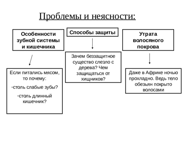 Проблемы и неясности: Способы защиты Особенности зубной системы и кишечника Утрата волосяного покрова Зачем беззащитное существо слезло с дерева? Чем защищаться от хищников? Если питались мясом, то почему: Даже в Африке ночью прохладно. Ведь тело обезьян покрыто волосами столь слабые зубы? столь длинный кишечник?  