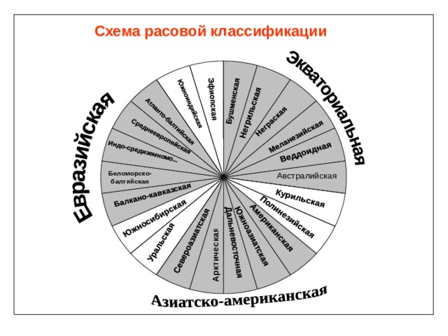 Схема расовой классификации 