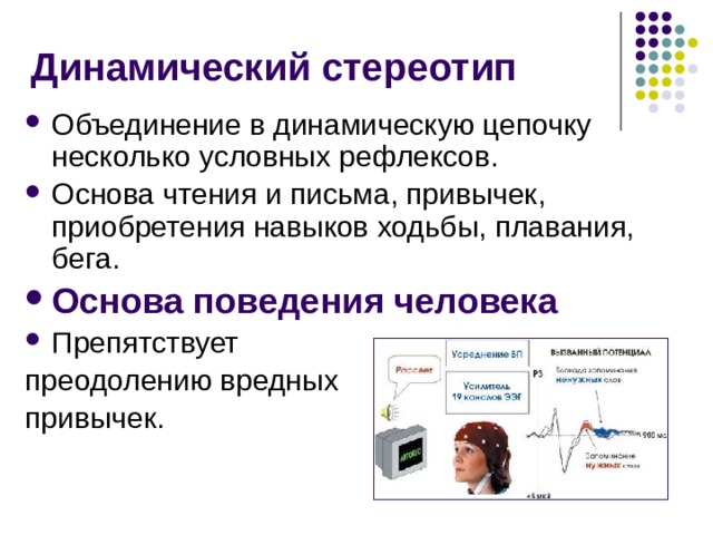 Динамический стереотип Объединение в динамическую цепочку несколько условных рефлексов. Основа чтения и письма, привычек, приобретения навыков ходьбы, плавания, бега. Основа поведения человека Препятствует преодолению вредных привычек. 