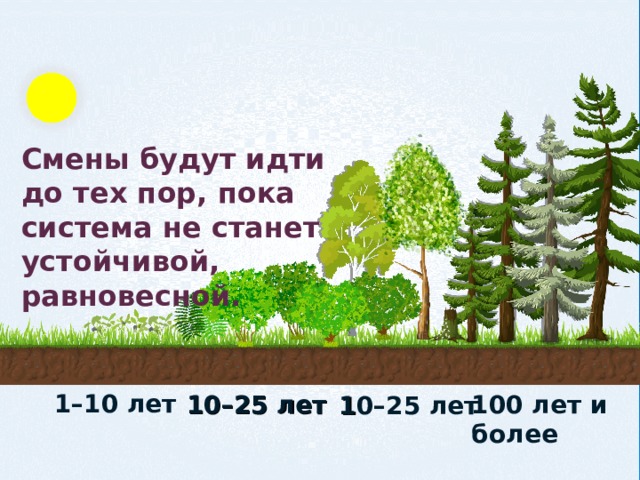 Смены будут идти до тех пор, пока система не станет устойчивой, равновесной. 1–10 лет 1 0 – 25  лет 1 00 лет и более 1 0 – 25  лет 