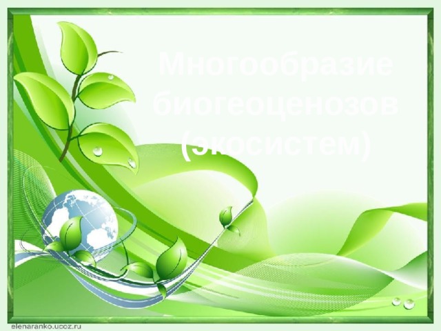 Многообразие биогеоценозов (экосистем) 