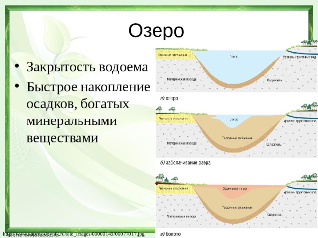 Озеро Закрытость водоема Быстрое накопление осадков, богатых минеральными веществами http://www.supersadovnik.ru/site_images/00000149/00077017.jpg 