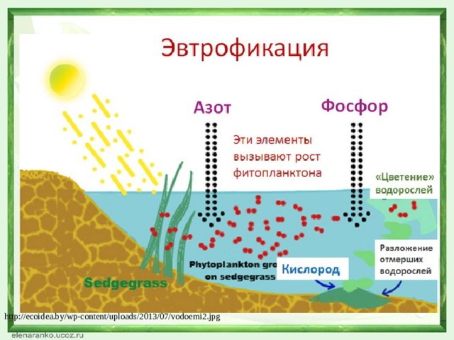 http://ecoidea.by/wp-content/uploads/2013/07/vodoemi2.jpg 