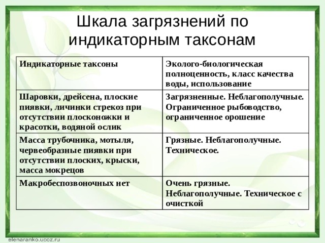 Шкала загрязнений по индикаторным таксонам Индикаторные таксоны Эколого-биологическая полноценность, класс качества воды, использование Шаровки, дрейсена, плоские пиявки, личинки стрекоз при отсутствии плосконожки и красотки, водяной ослик Загрязненные. Неблагополучные. Ограниченное рыбоводство, ограниченное орошение Масса трубочника, мотыля, червеобразные пиявки при отсутствии плоских, крыски, масса мокрецов Грязные. Неблагополучные. Техническое. Макробеспозвоночных нет Очень грязные. Неблагополучные. Техническое с очисткой 