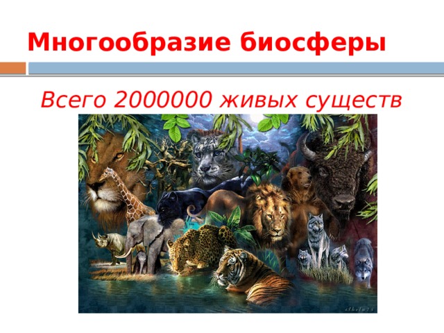 Многообразие биосферы Всего 2000000 живых существ 