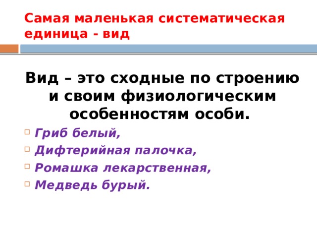 Самая маленькая систематическая единица - вид Вид – это сходные по строению и своим физиологическим особенностям особи. Гриб белый, Дифтерийная палочка, Ромашка лекарственная, Медведь бурый. 