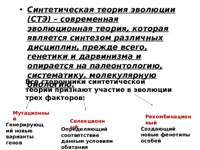 Синтетическая теория эволюции (СТЭ) – современная эволюционная теория, которая является синтезом различных дисциплин, прежде всего, генетики и дарвинизма и опирается на палеонтологию, систематику, молекулярную биологию. Все сторонники синтетической теории признают участие в эволюции трех факторов: Мутационный Рекомбинационный Селекционный Генерирующий новые варианты генов Создающий новые фенотипы особей Определяющий соответствие данным условиям обитания 