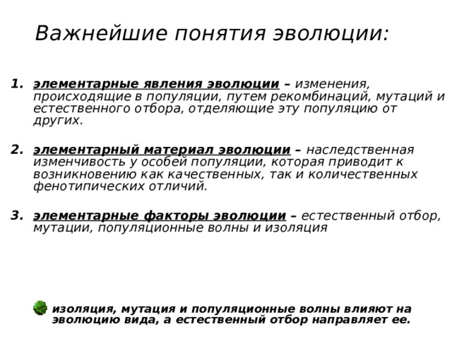 Важнейшие понятия эволюции:   элементарные явления эволюции – изменения, происходящие в популяции, путем рекомбинаций, мутаций и естественного отбора, отделяющие эту популяцию от других.  элементарный материал эволюции – наследственная изменчивость у особей популяции, которая приводит к возникновению как качественных, так и количественных фенотипических отличий.  элементарные факторы эволюции – естественный отбор, мутации, популяционные волны и изоляция    изоляция, мутация и популяционные волны влияют на эволюцию вида, а естественный отбор направляет ее. изоляция, мутация и популяционные волны влияют на эволюцию вида, а естественный отбор направляет ее. 
