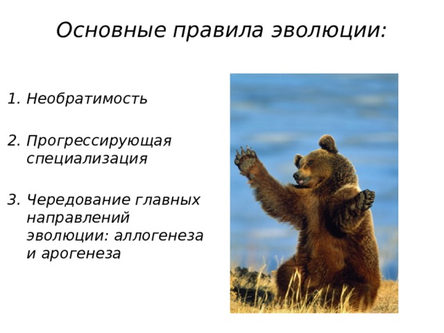 Основные правила эволюции:   Необратимость  Прогрессирующая специализация  Чередование главных направлений эволюции: аллогенеза и арогенеза 