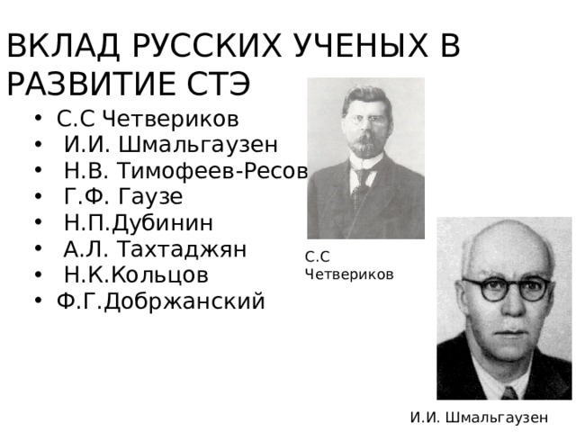 ВКЛАД РУССКИХ УЧЕНЫХ В РАЗВИТИЕ СТЭ С.С Четвериков  И.И. Шмальгаузен  Н.В. Тимофеев-Ресовский  Г.Ф. Гаузе  Н.П.Дубинин  А.Л. Тахтаджян  Н.К.Кольцов Ф.Г.Добржанский С.С Четвериков  И.И. Шмальгаузен 