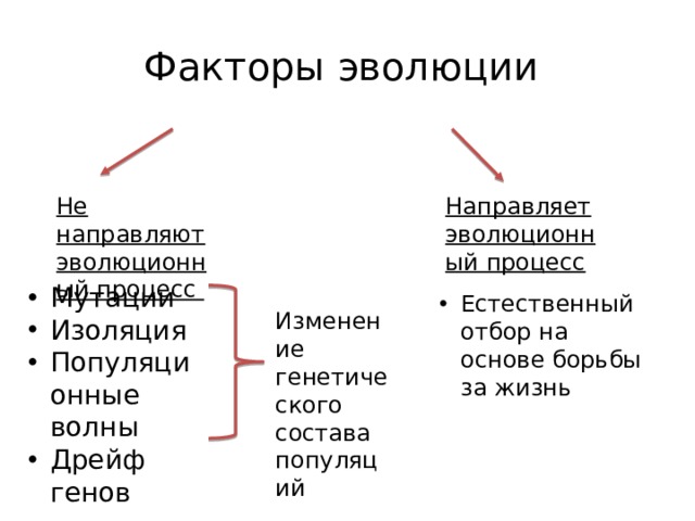 Факторы эволюции Не направляют эволюционный процесс Направляет эволюционный процесс Мутации Изоляция Популяционные волны Дрейф генов Естественный отбор на основе борьбы за жизнь Изменение генетического состава популяций 